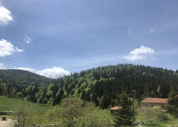 Maison Confortable Avec Jardin A Borne 80 M² Boree